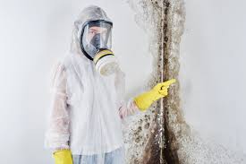 Best Commercial Mold Inspection  in Berlin, NJ